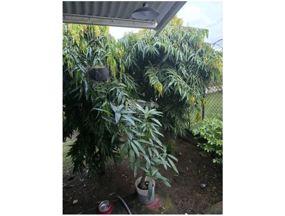 LA GLORIA/BETHANIA/3 HAB/4 BAÑOS/ PARKING/2 OFICINAS