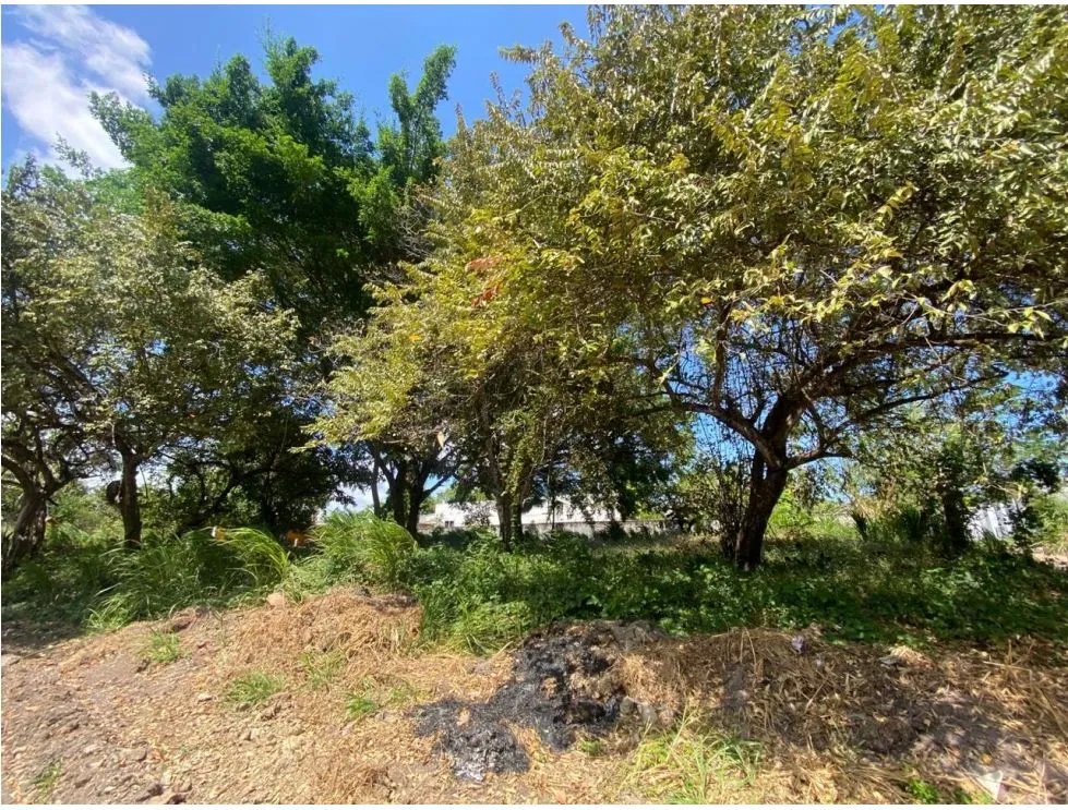 TERRENO / CHAME / NUEVA GORGONA / 1200M / ZONAS VERDES / CLIMA FRESCO