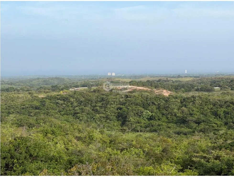 SE VENDE TERRENO SAN CARLOS 5,000M AMPLIO Y CON VISTA AL MAR
