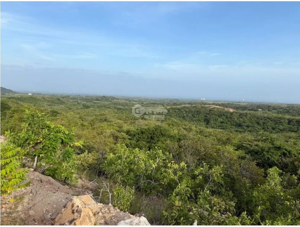 FINCA / SAN CARLOS / 5,000M / POTENCIAL AGRICOLA / VISTA AL MAR