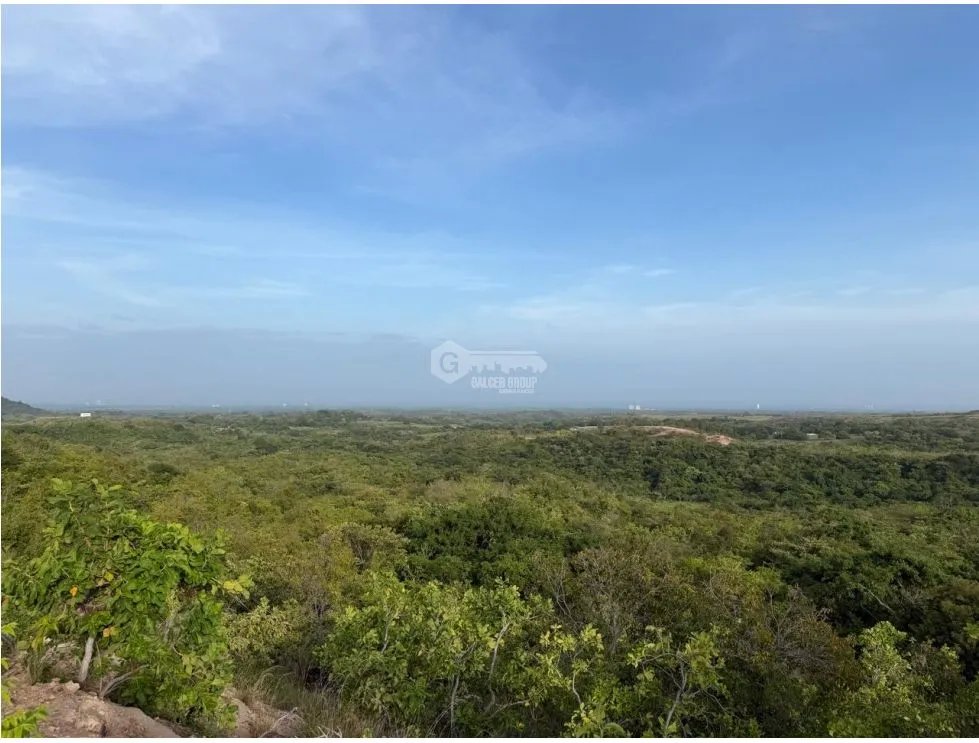 FINCA / SAN CARLOS / 5,000M / POTENCIAL AGRICOLA / VISTA AL MAR