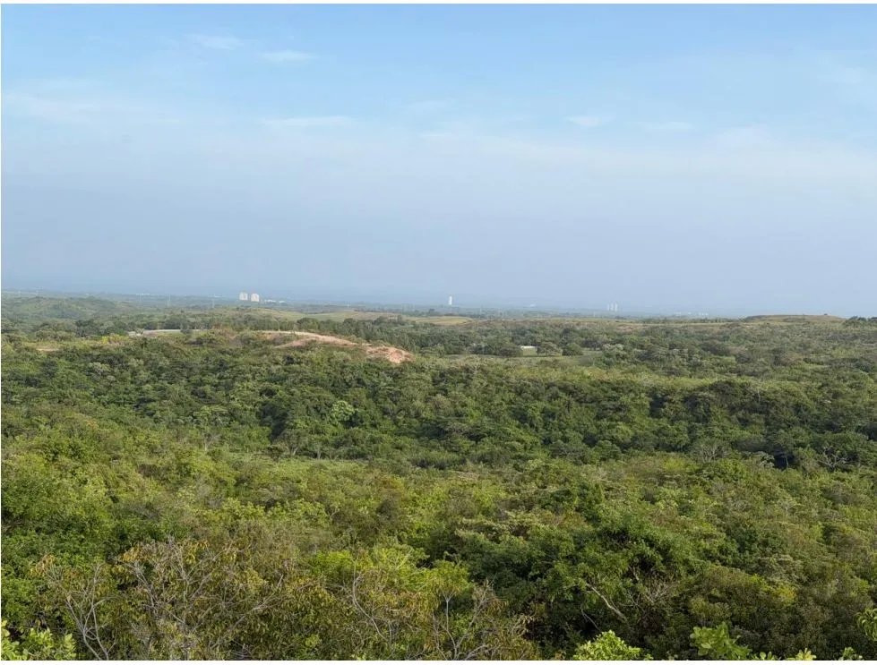 TERRENO / SAN CARLOS / 5,000M / POTENCIAL AGRICOLA / VISTA AL MAR