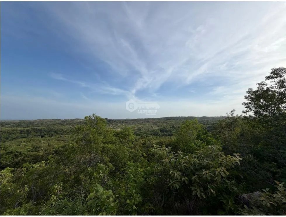TERRENO / SAN CARLOS / 5,000M / POTENCIAL AGRICOLA / VISTA AL MAR