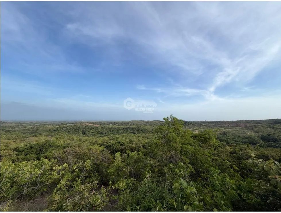 TERRENO / SAN CARLOS / 5,000M / POTENCIAL AGRICOLA / VISTA AL MAR