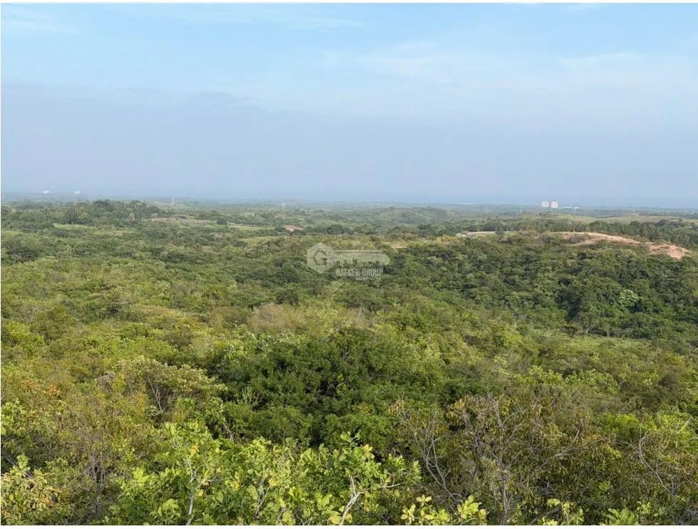 TERRENO / SAN CARLOS / 5,000M / POTENCIAL AGRICOLA / VISTA AL MAR