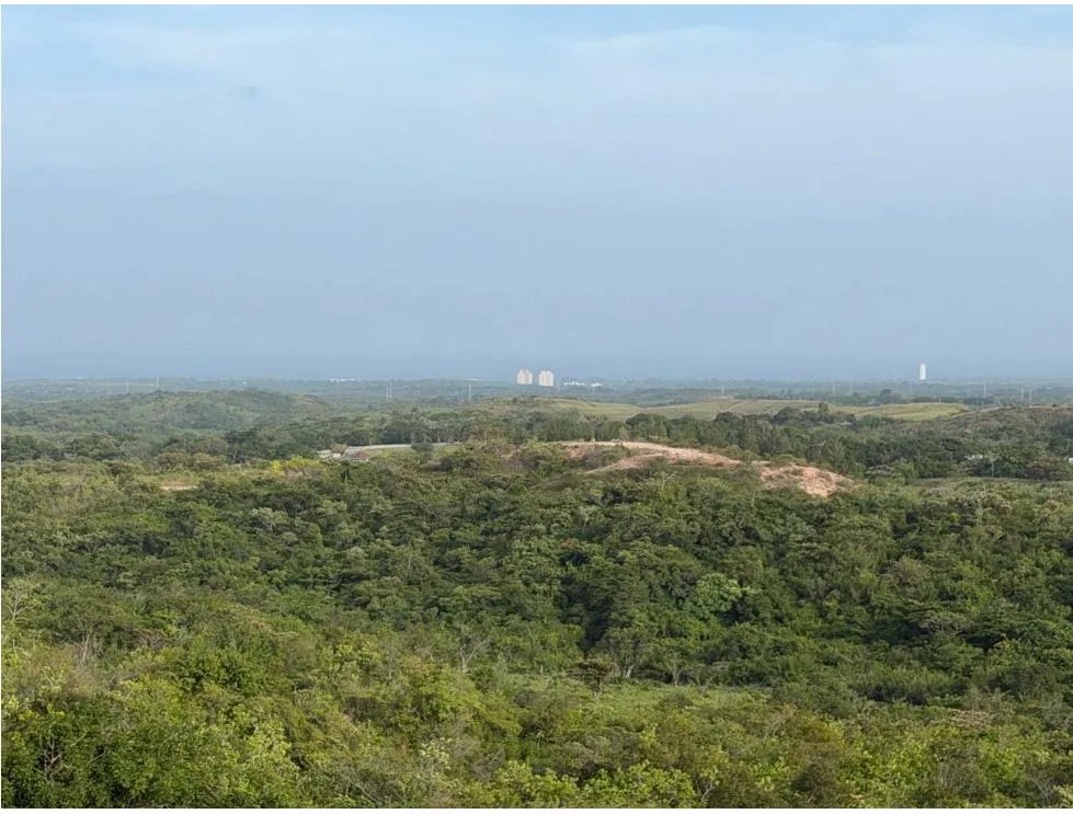 TERRENO / SAN CARLOS / 5,000M / POTENCIAL AGRICOLA / VISTA AL MAR