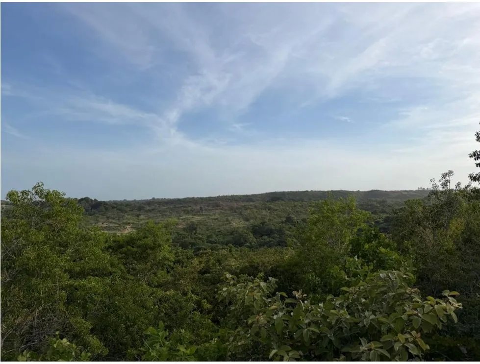 TERRENO / SAN CARLOS / 5,000M / POTENCIAL AGRICOLA / VISTA AL MAR