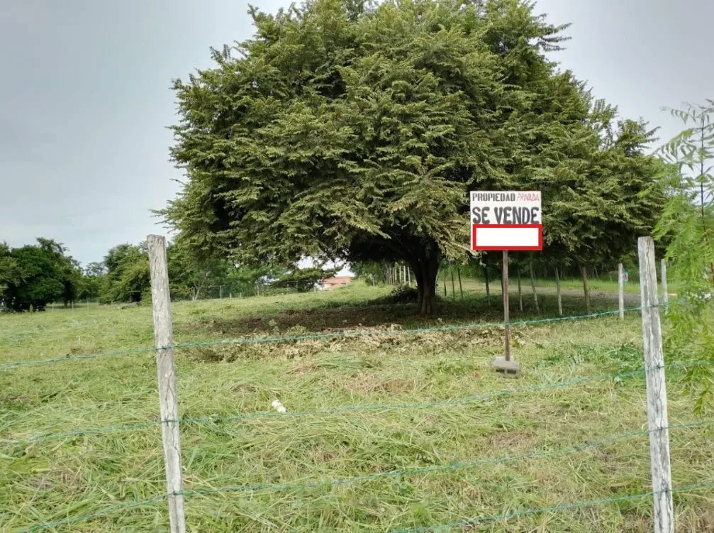 Agriculture For Sale in Nueva gorgona