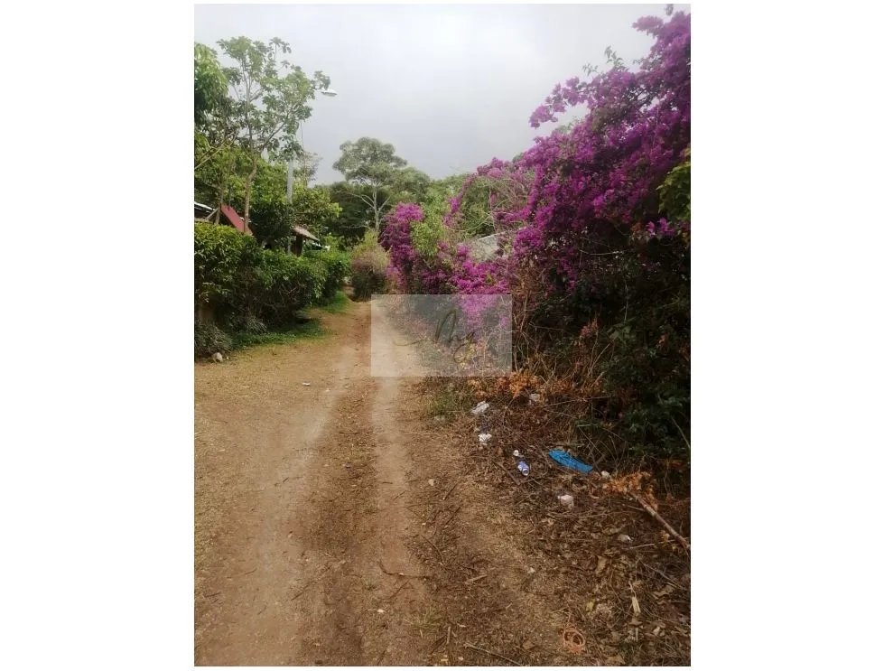 SALE OF 2 LAND PARCELS IN SORÁ, CHAME