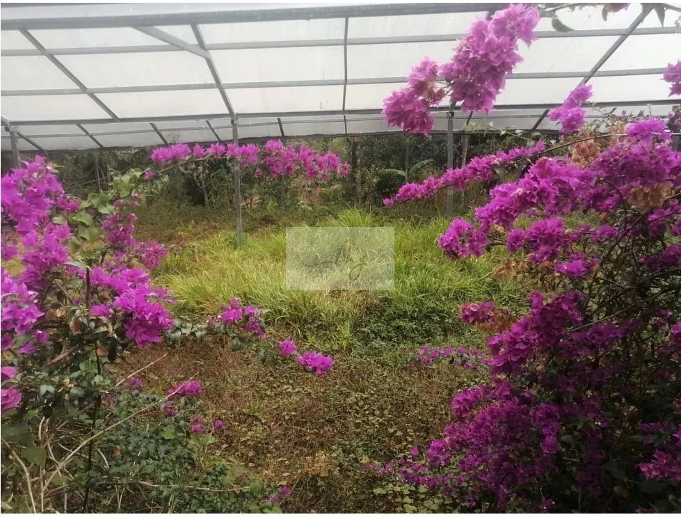 SALE OF 2 LAND PARCELS IN SORÁ, CHAME
