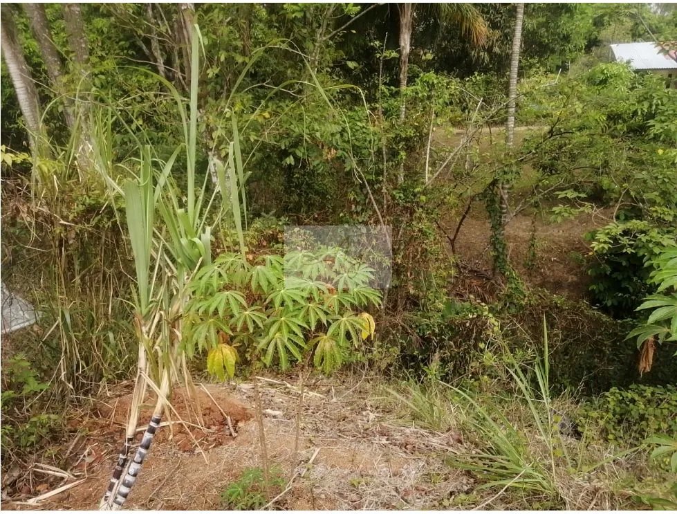 SALE OF 2 LAND PARCELS IN SORÁ, CHAME