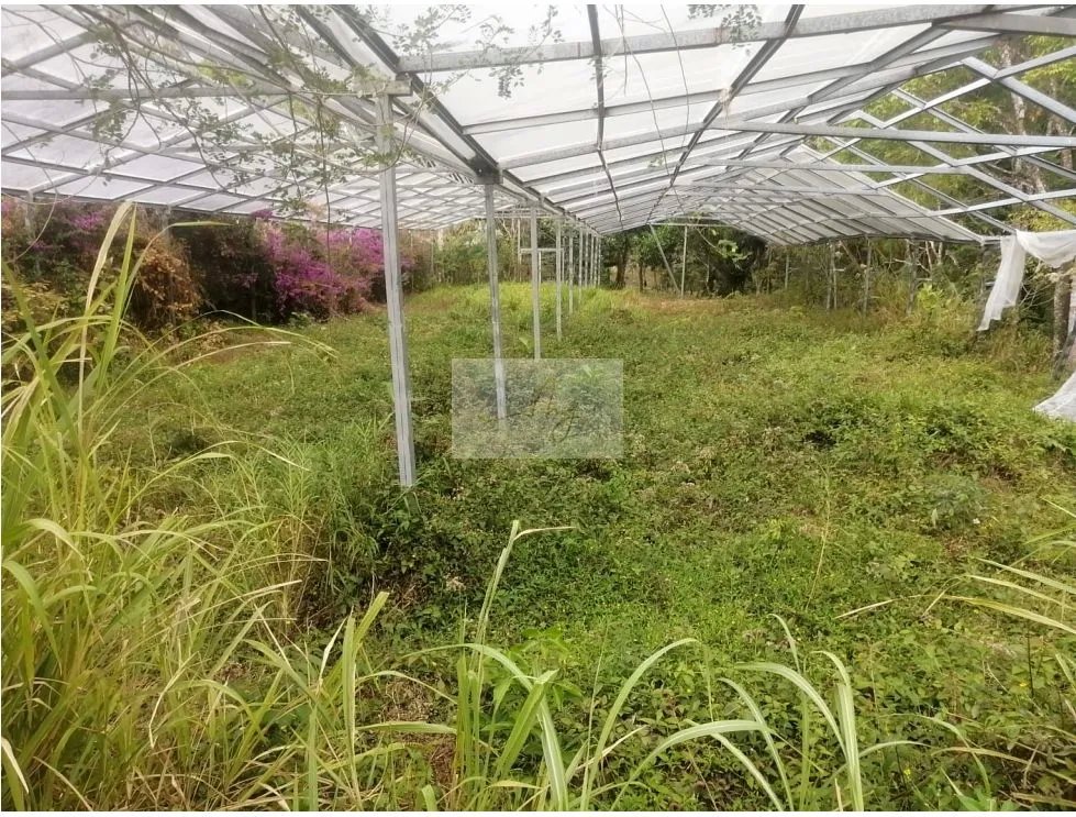 SALE OF 2 LAND PARCELS IN SORÁ, CHAME