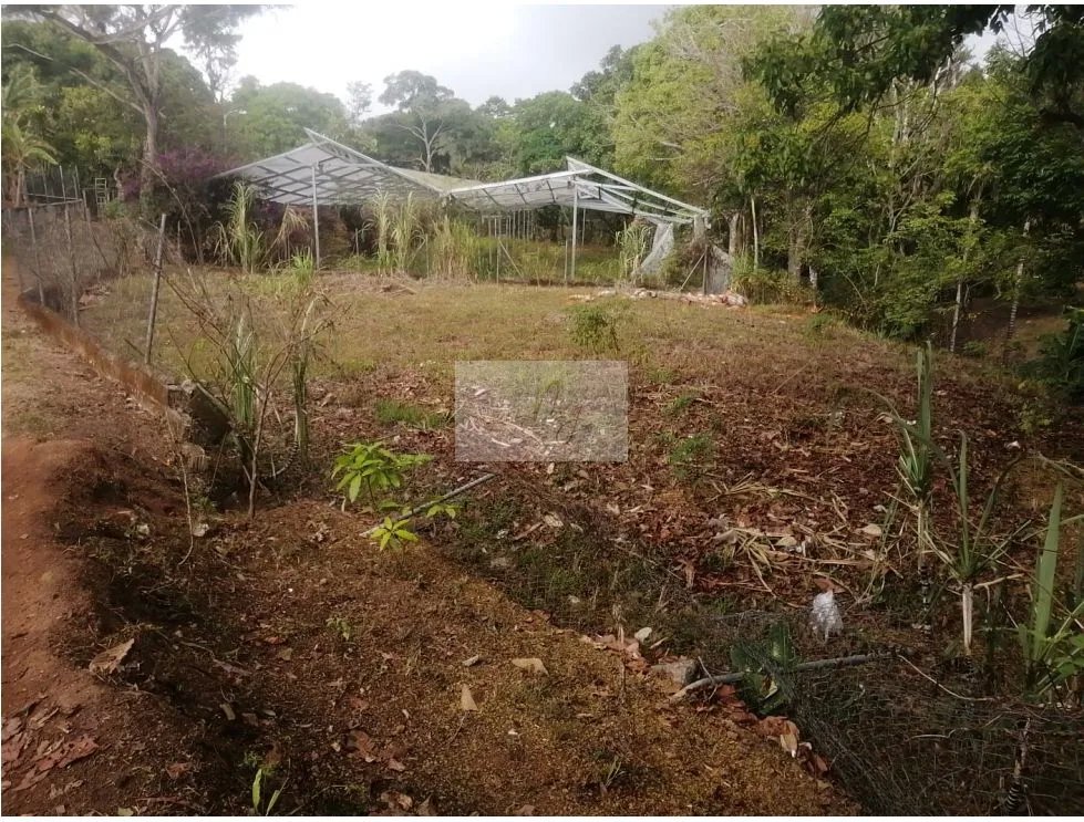 SALE OF 2 LAND PARCELS IN SORÁ, CHAME