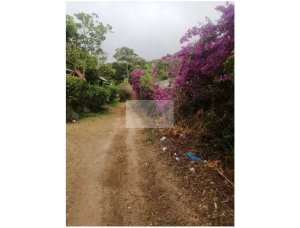 Terreno à Venda