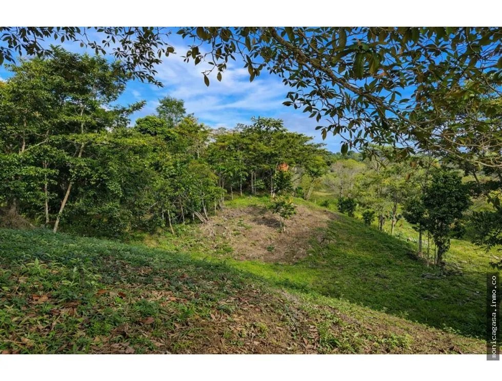 LAND SALE IN CAYO AGUA, BOCAS DEL TORO