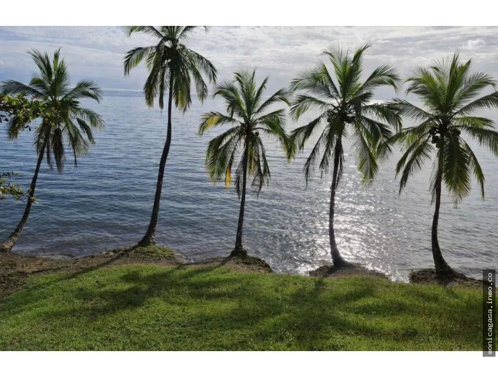 VENTA DE LOTE EN CAYO AGUA, BOCAS DEL TORO