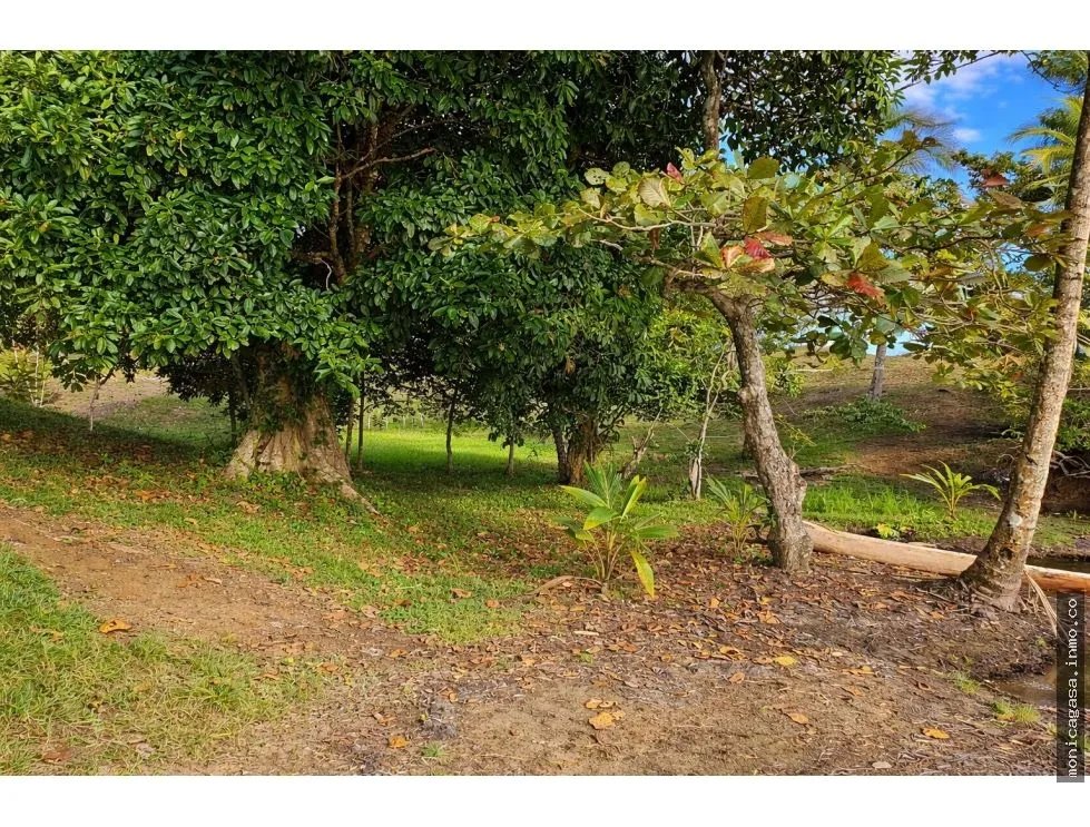 VENTA DE LOTE EN CAYO AGUA, BOCAS DEL TORO