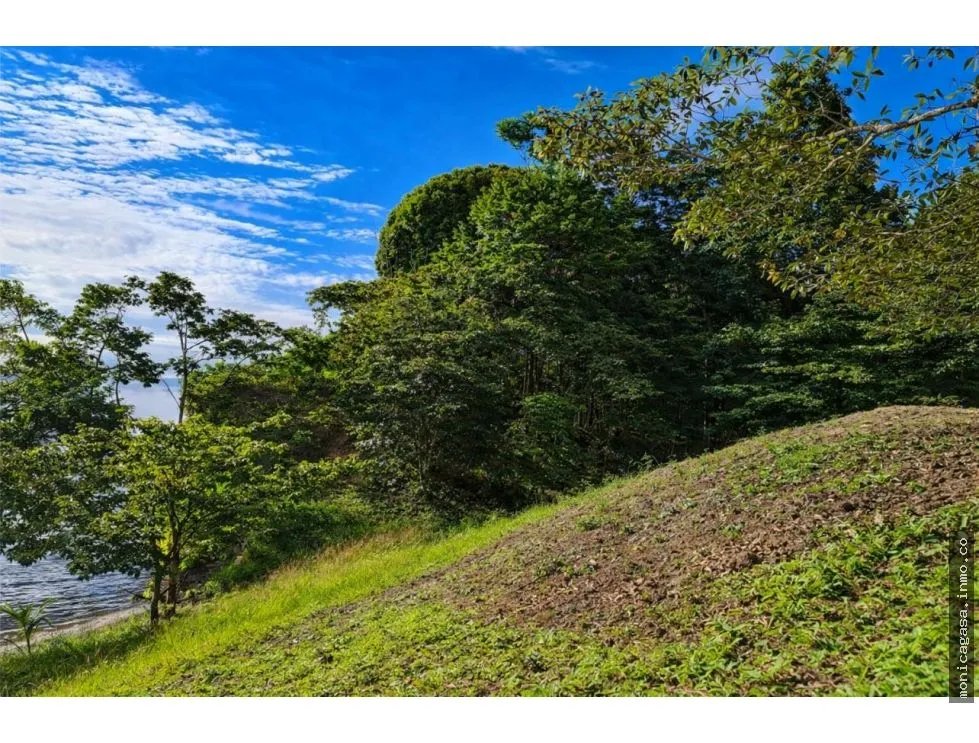 VENTA DE LOTE EN CAYO AGUA, BOCAS DEL TORO