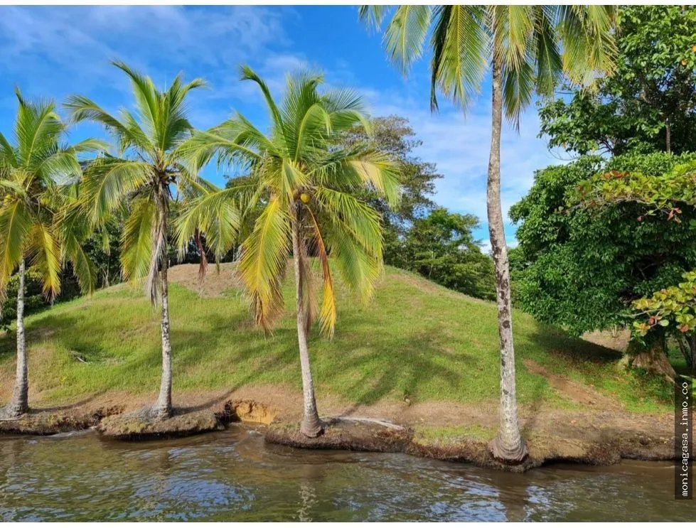 VENTA DE LOTE EN CAYO AGUA, BOCAS DEL TORO