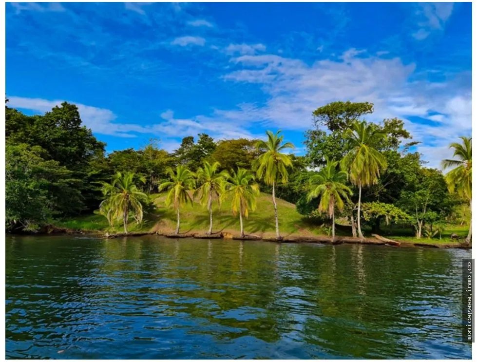 VENTA DE LOTE EN CAYO AGUA, BOCAS DEL TORO