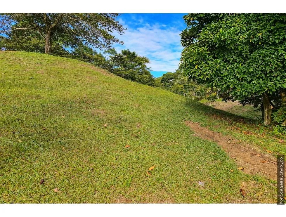 VENTA DE LOTE EN CAYO AGUA, BOCAS DEL TORO
