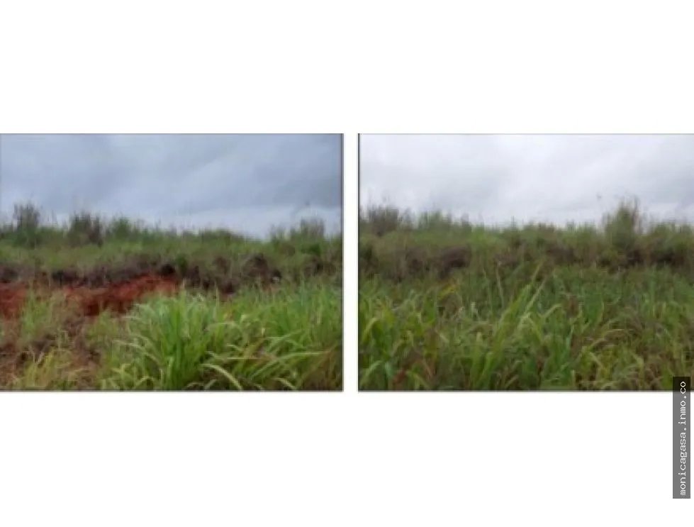 Land Sale in Green Valley – Pedregal District