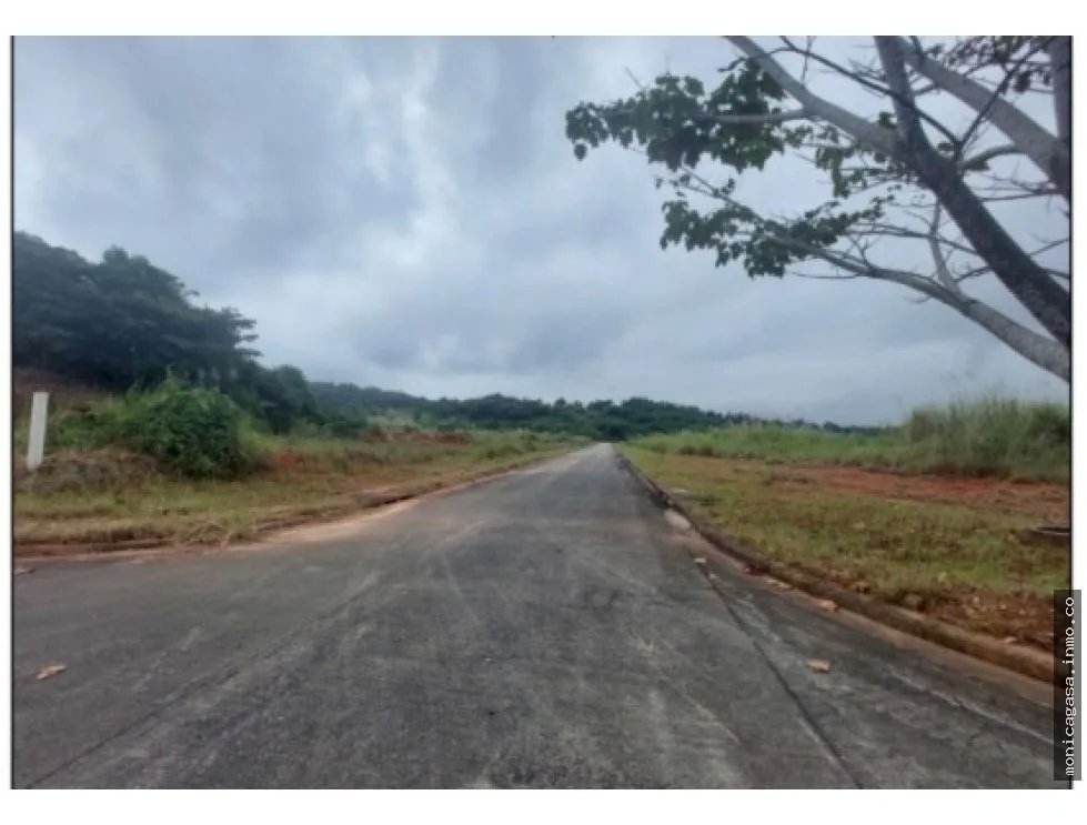Land Sale in Green Valley – Pedregal District