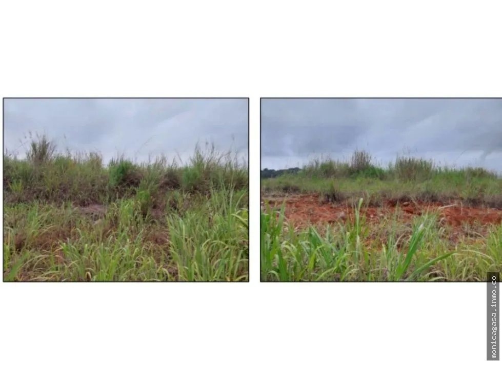 Land Sale in Green Valley – Pedregal District
