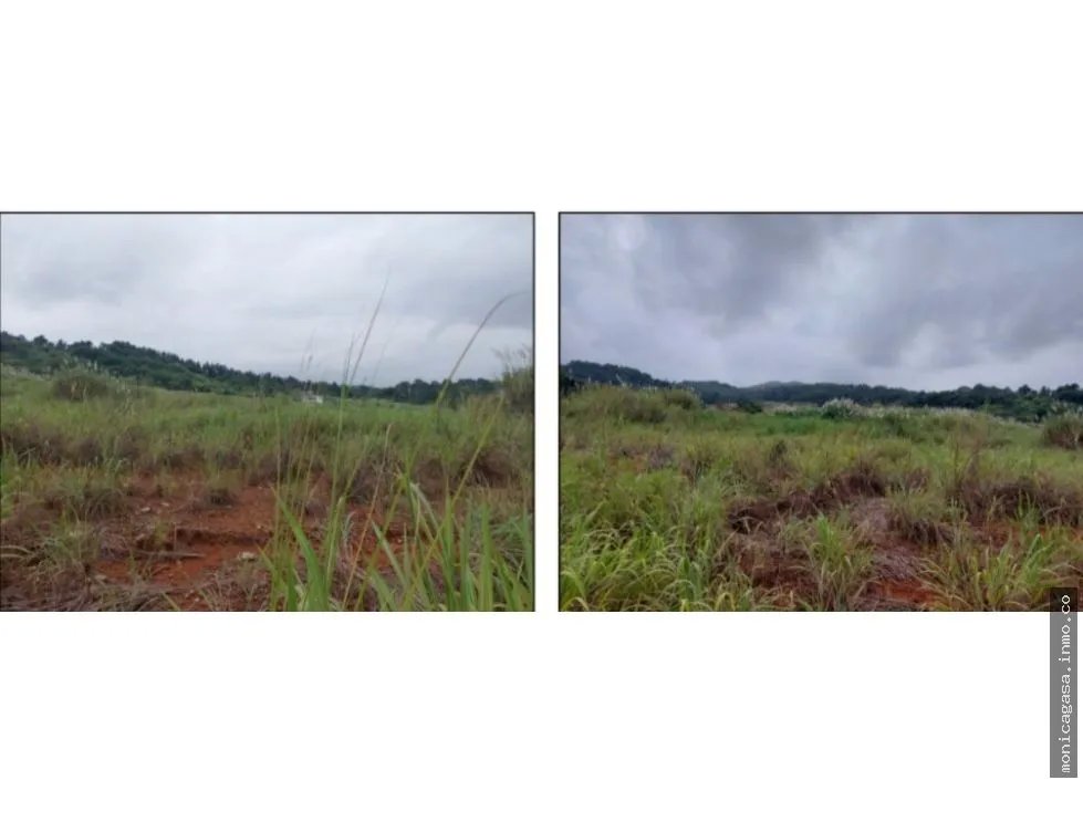 Land Sale in Green Valley – Pedregal District