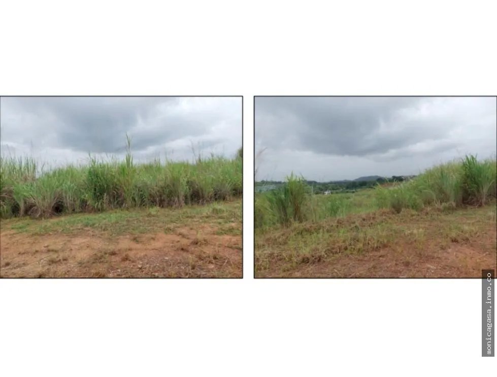 Land Sale in Green Valley – Pedregal District
