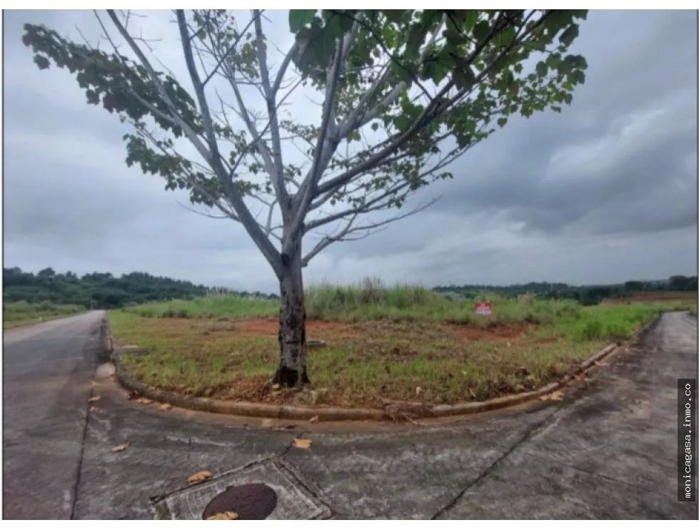 Land Sale in Green Valley – Pedregal District