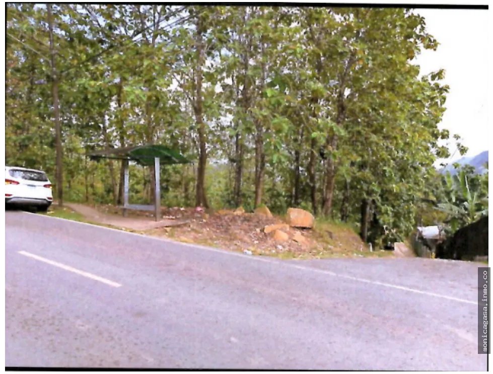 Land Sale in Vista Bella