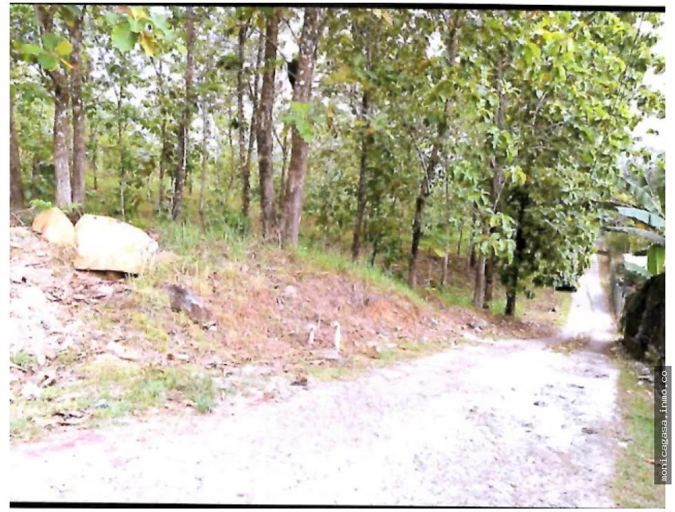 Land Sale in Vista Bella