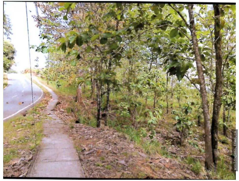 Land Sale in Vista Bella