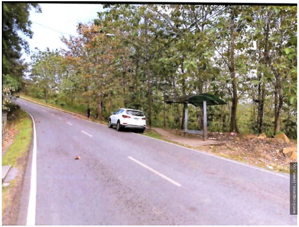 Land Sale in Vista Bella