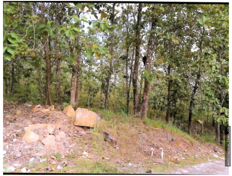 Land Sale in Vista Bella