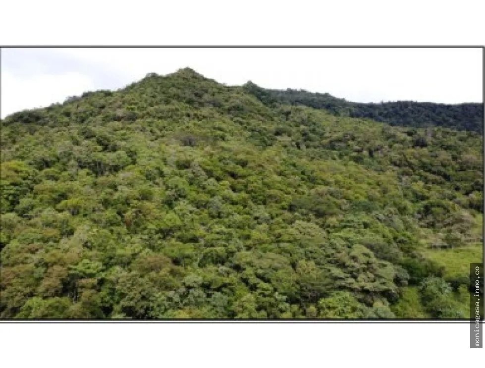 Land Sale in El Manglarito, Sorá