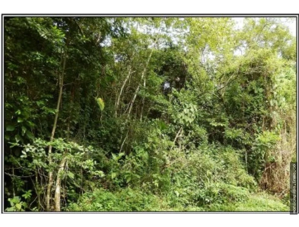 Land Sale in El Manglarito, Sorá