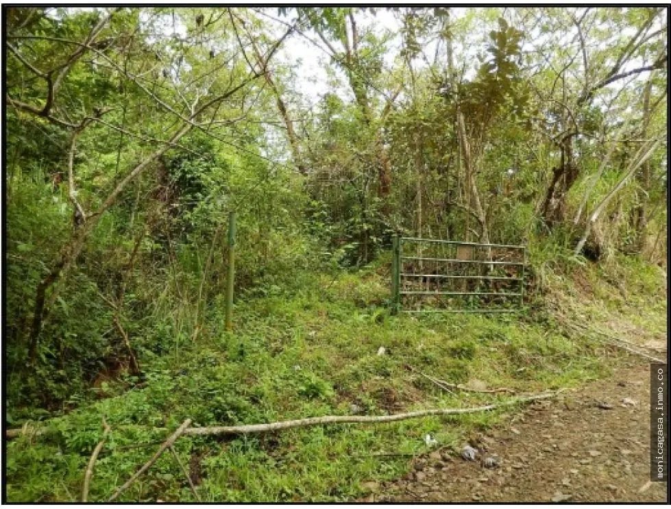 Land Sale in El Manglarito, Sorá