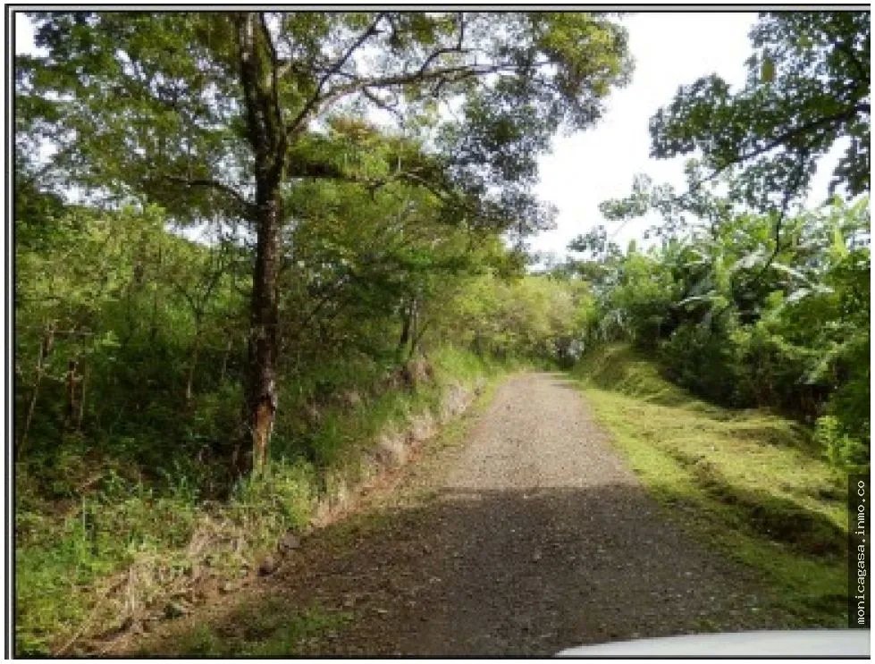 Land Sale in El Manglarito, Sorá