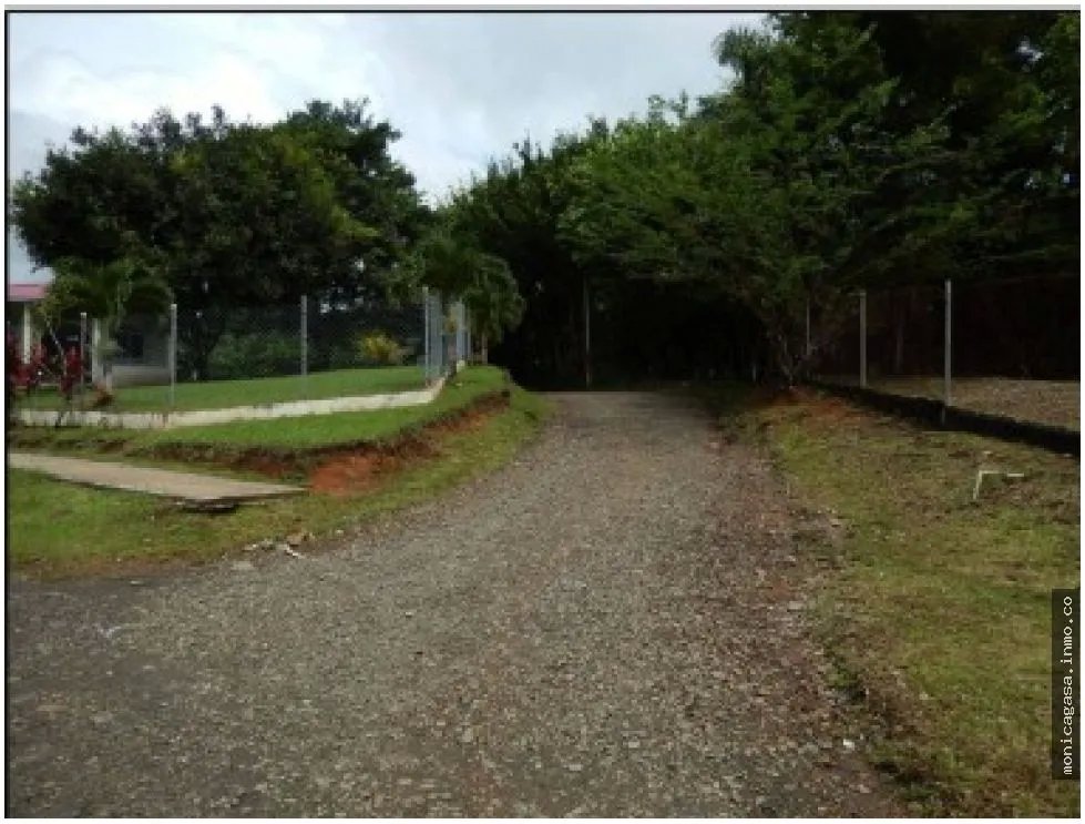 Land Sale in El Manglarito, Sorá