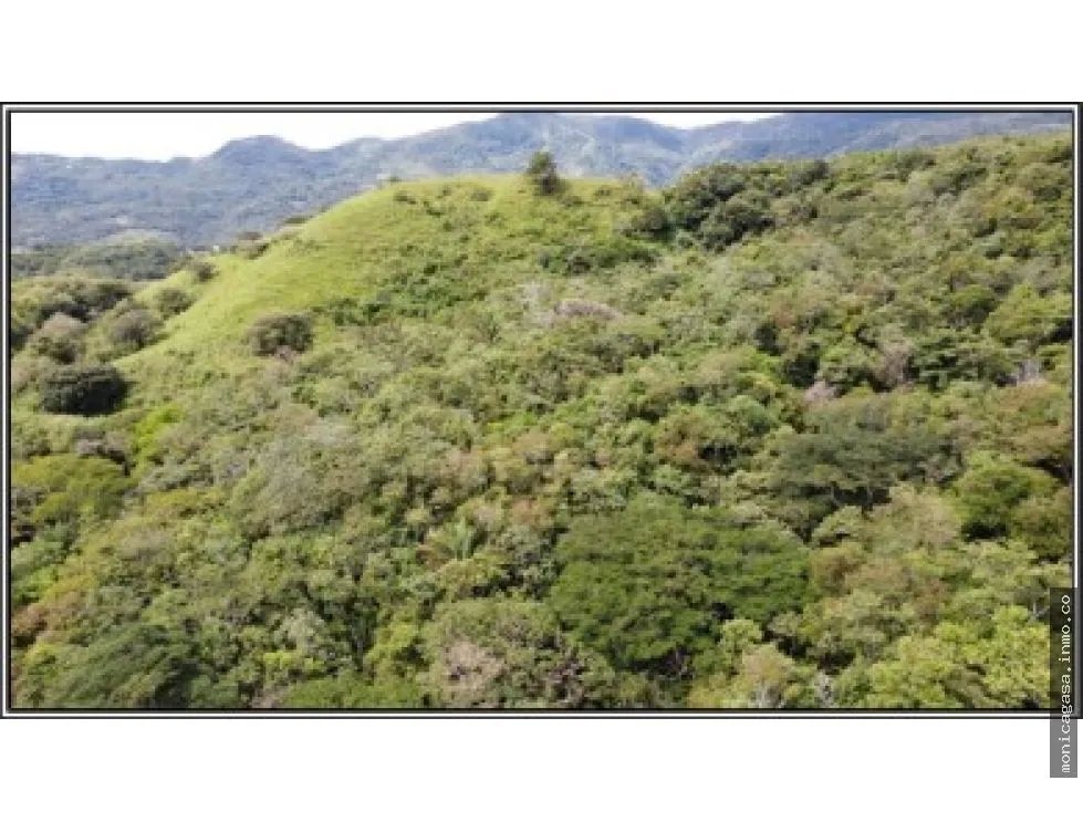 Land Sale in El Manglarito, Sorá