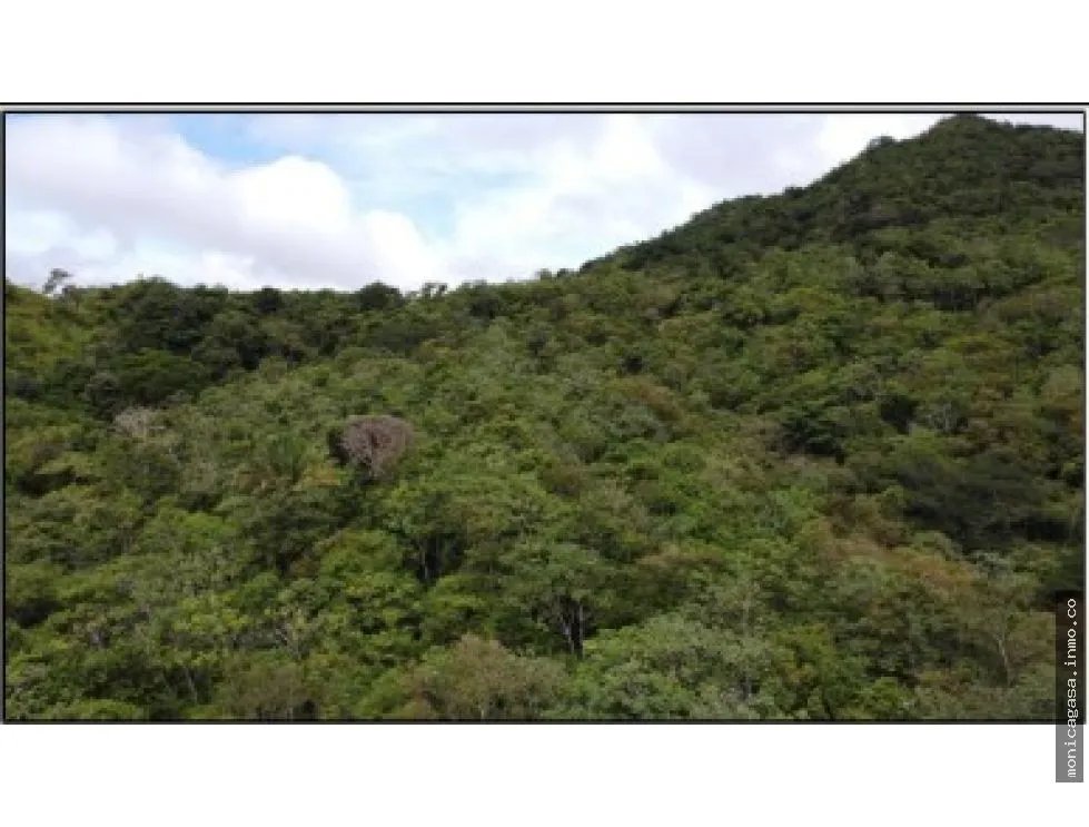 Land Sale in El Manglarito, Sorá