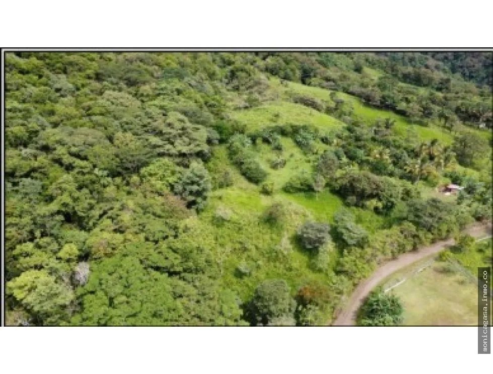 Land Sale in El Manglarito, Sorá