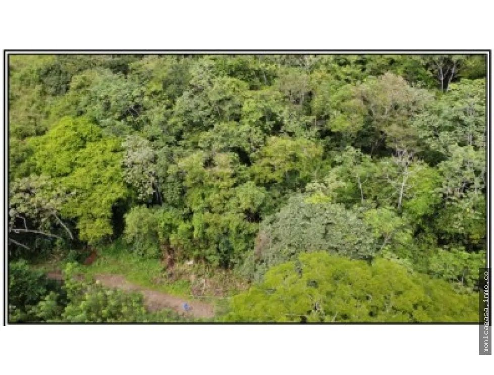 Land Sale in El Manglarito, Sorá