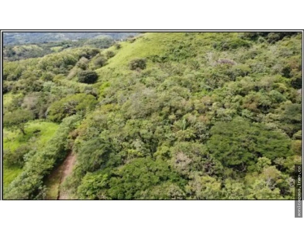 Land Sale in El Manglarito, Sorá