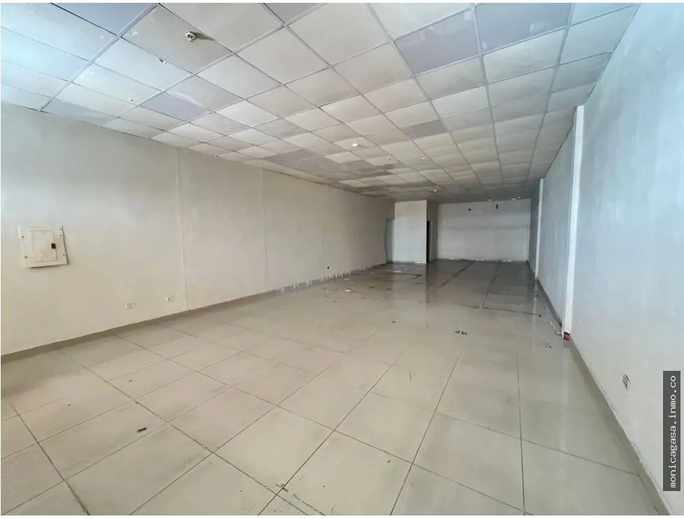 Alquiler de Locales Comerciales en Plaza Futuro, José Agustín Arango