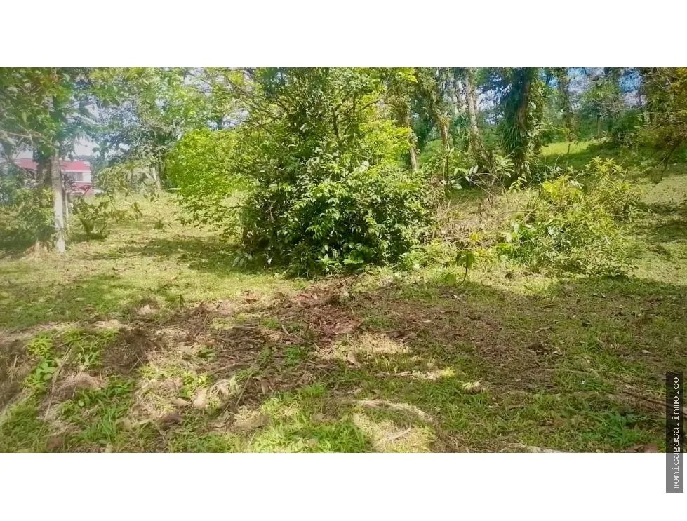 Lot 91 in La Laguna, Altos del María – Natural Refuge Within Your Reach