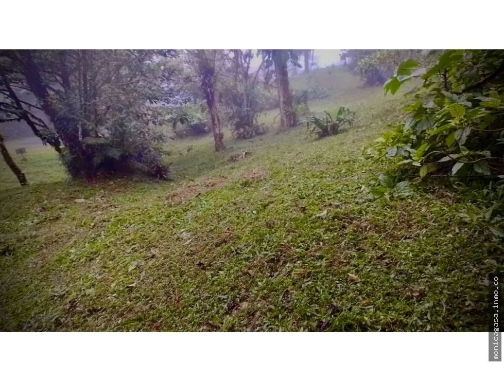Lot 91 in La Laguna, Altos del María – Natural Refuge Within Your Reach