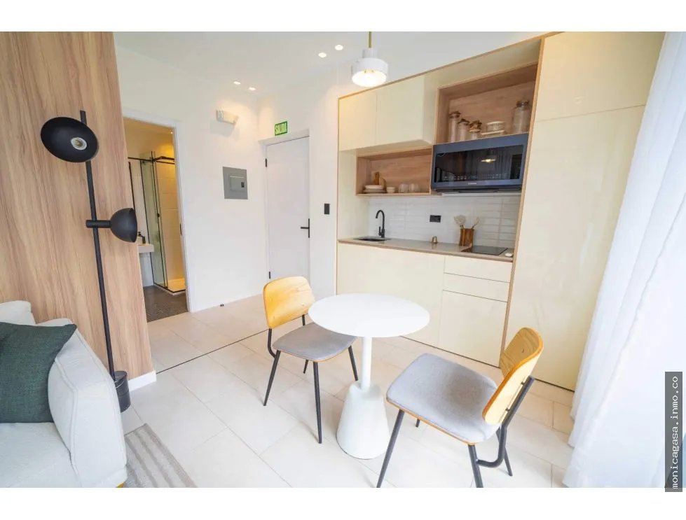 Sale of Apartment in PH Nook Located in Bella Vista / 66 m2